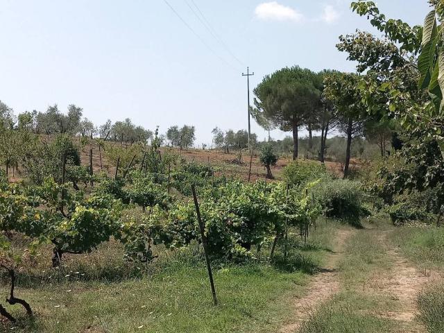 Terreno in vendita a Lastra A Signa, Toscana