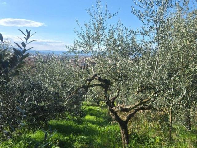 Terreno in vendita a Scandicci Alto, Scandicci