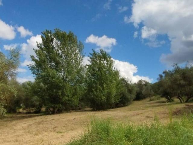 Terreno in vendita a San Paolo a Mosciano, Scandicci