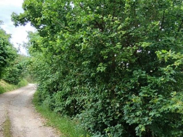 Terreno in vendita a San Paolo a Mosciano, Scandicci
