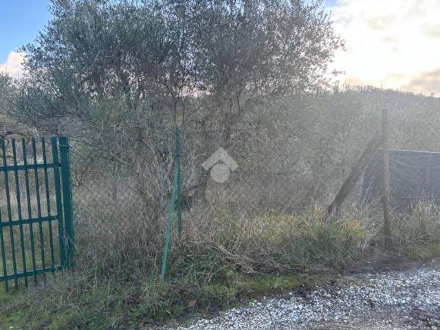 Terreno in vendita a San Paolo a Mosciano, Scandicci