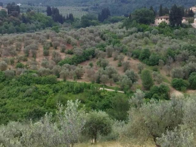 Terreno in vendita a San Paolo a Mosciano, Scandicci