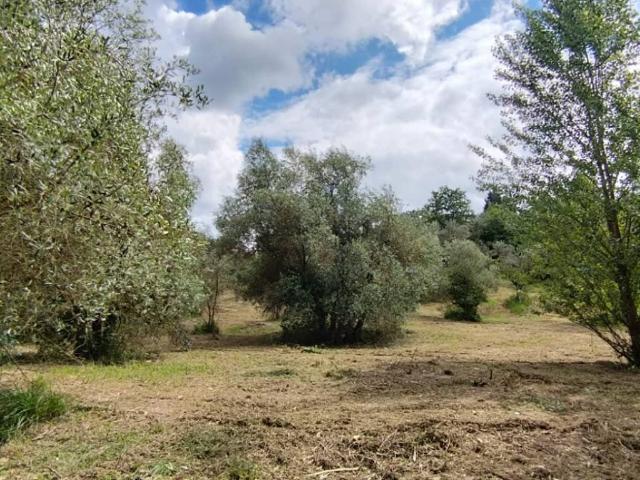 Terreno in vendita a San Paolo a Mosciano, Scandicci