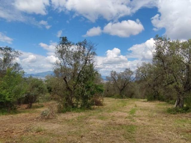 Terreno in vendita a San Paolo a Mosciano, Scandicci