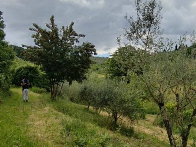Terreno in vendita a San Paolo a Mosciano, Scandicci