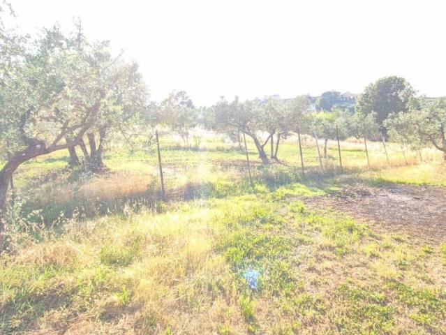 Terreno in vendita a San Martino alla Palma, Scandicci