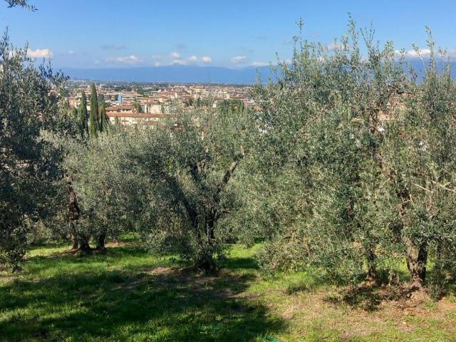 Terreno in vendita a San Giusto, Scandicci