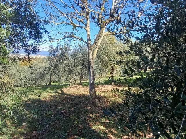 Terreno in vendita a San Giusto, Scandicci