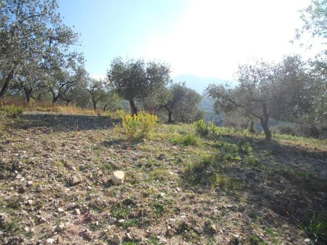 Terreno in vendita a Scandriglia, Lazio