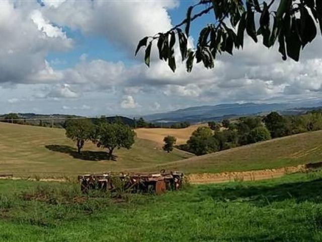 Terreno in vendita a Scansano, Toscana