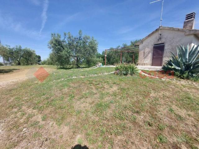 Terreno in vendita a Preselle, Scansano