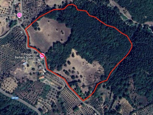 Terreno in vendita a Preselle, Scansano