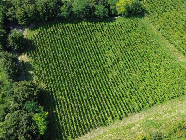 Terreno in vendita a Scanzorosciate, Lombardia