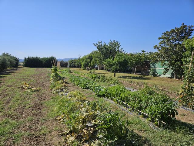 Terreno in vendita a Scarlino, Toscana