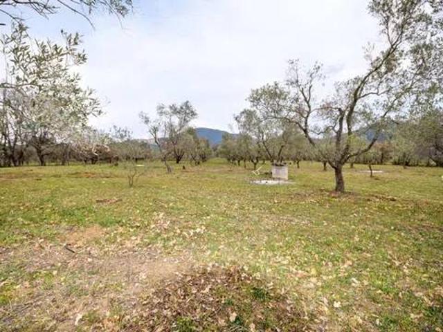 Terreno in vendita a Scarlino, Toscana