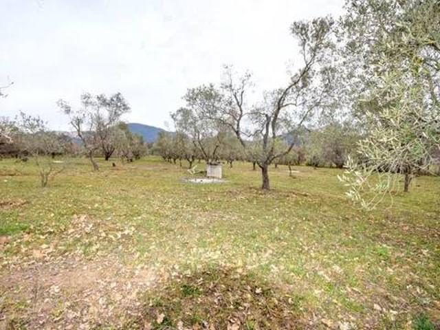 Terreno in vendita a Scarlino, Toscana