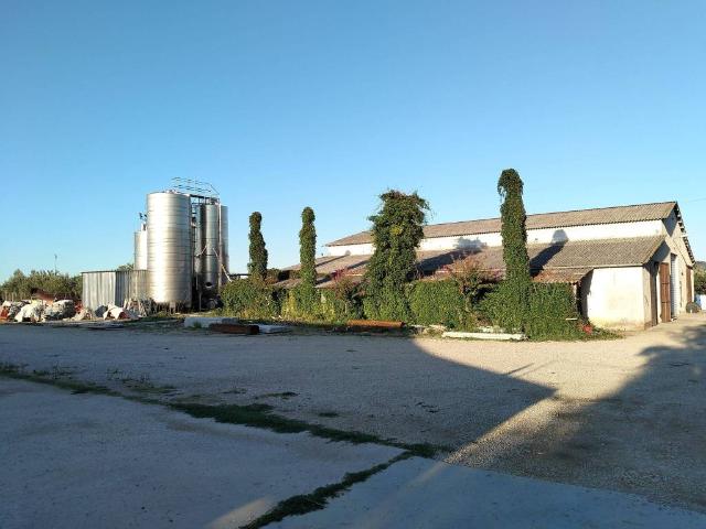 Terreno in vendita a Scerni, Abruzzo