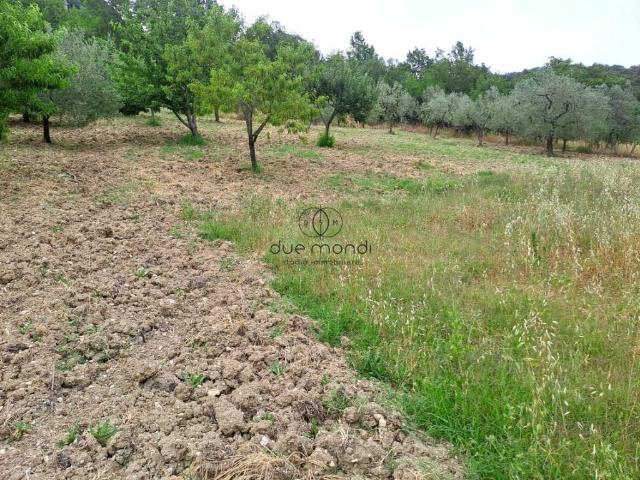 Terreno in vendita a Scheggino, Umbria