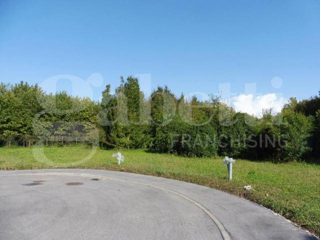 Terreno in vendita a Schiavon, Veneto