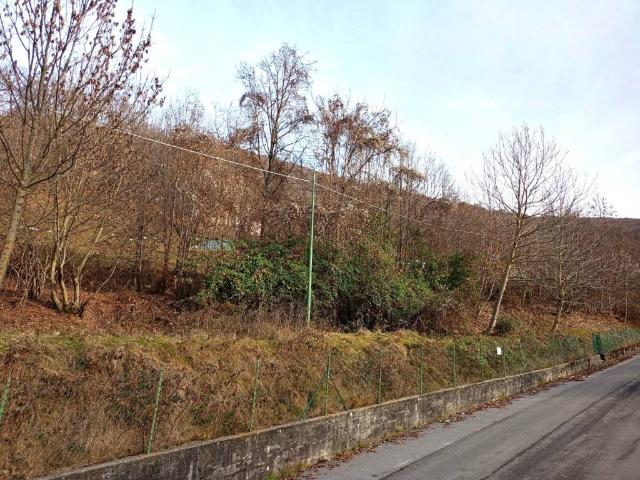 Terreno in vendita a Schignano, Lombardia