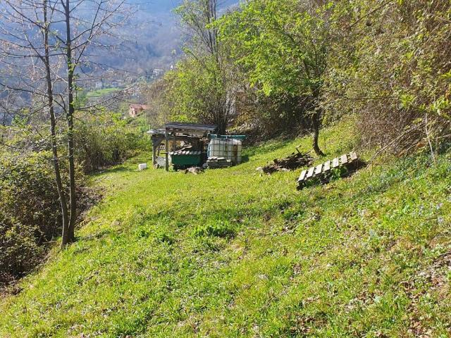 Terreno in vendita a Schignano, Lombardia