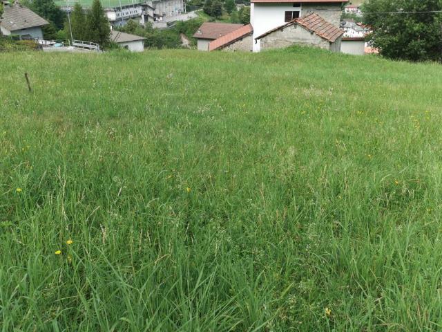 Terreno in vendita a Schignano, Lombardia