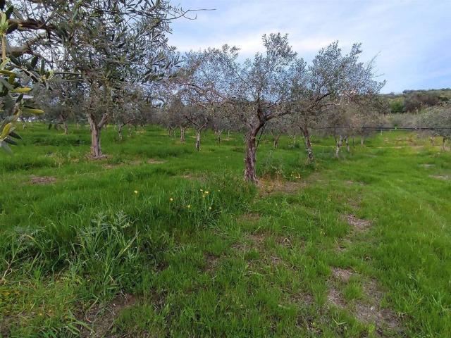Terreno in vendita a San Marco, Sciacca