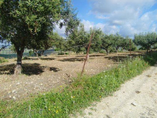 Terreno in vendita a Perriera, Sciacca