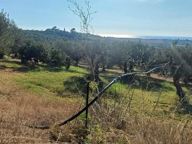 Terreno in vendita a San Marco, Sciacca