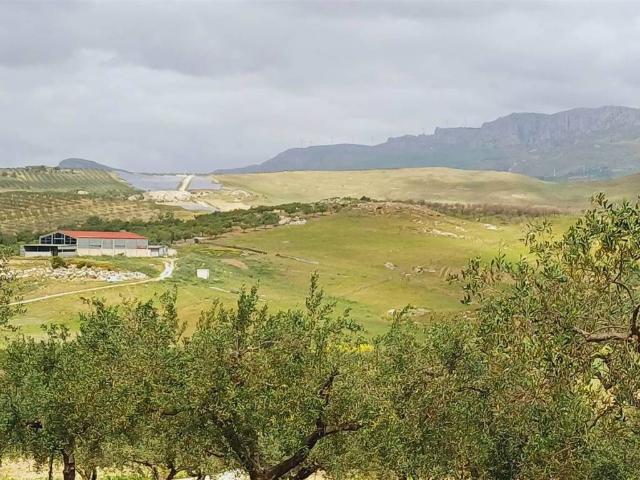 Terreno in vendita a Sciacca, Sicilia
