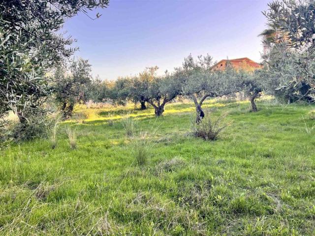 Terreno in vendita a Sciacca, Sicilia