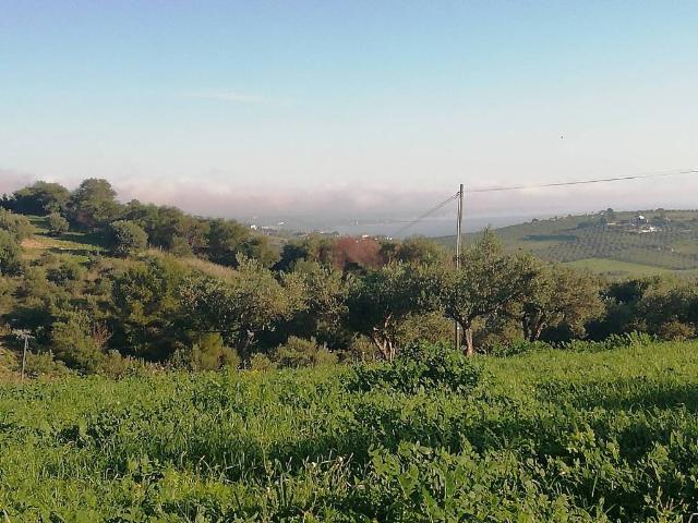 Terreno in vendita a Sciacca, Sicilia