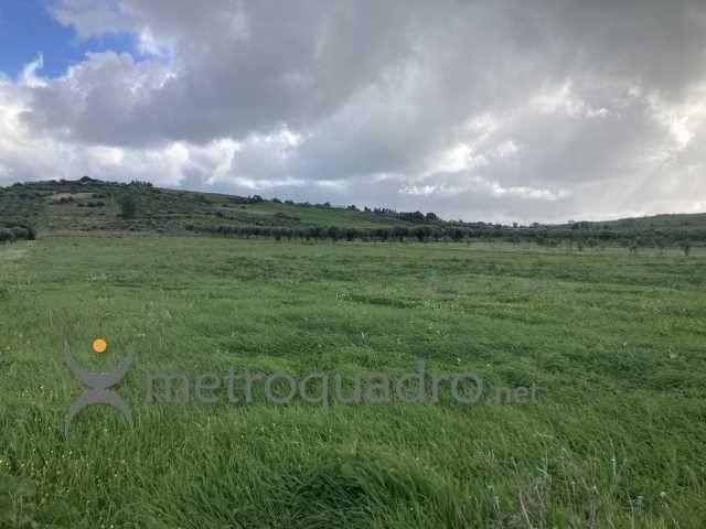 Terreno in vendita a Sciacca, Sicilia