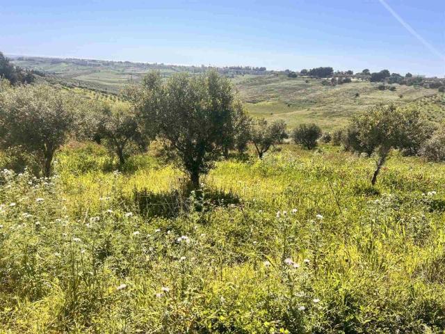 Terreno in vendita a Bordea, Sciacca