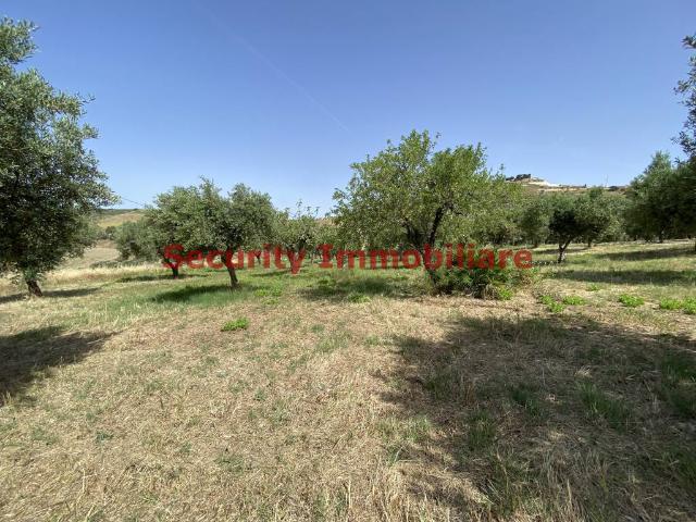 Terreno in vendita a Sciacca, Agrigento