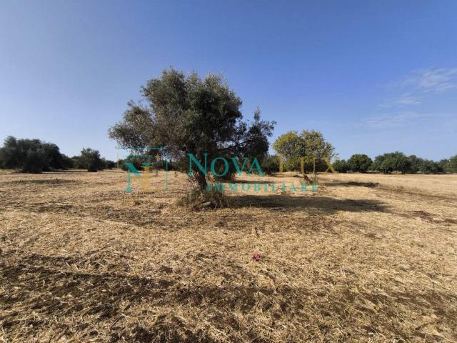 Terreno in vendita a San Giovanni lo Pirato, Cava D'aliga
