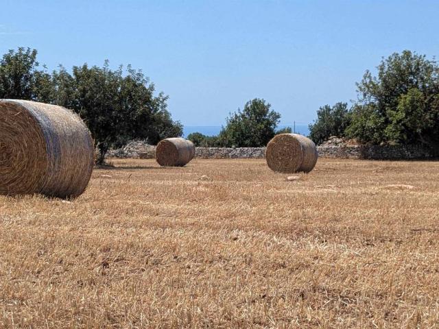 Terreno in vendita a Scicli, Ragusa