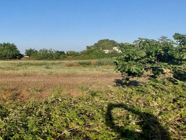 Terreno in vendita a Puglia, Lecce