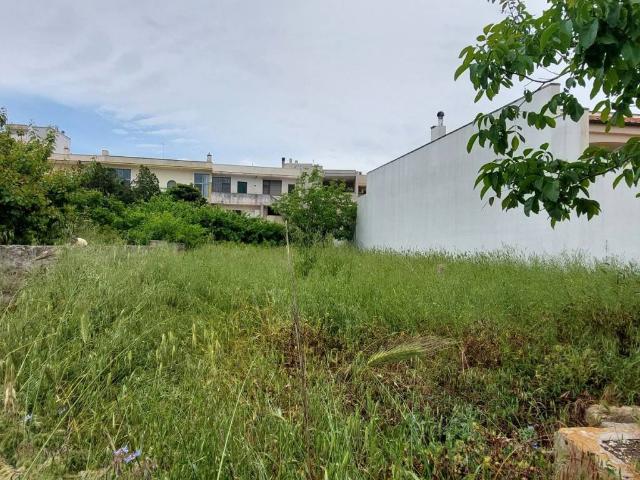 Terreno in vendita a Puglia, Lecce