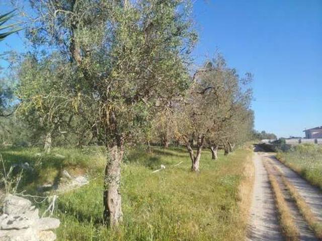 Terreno in vendita a Puglia, Lecce