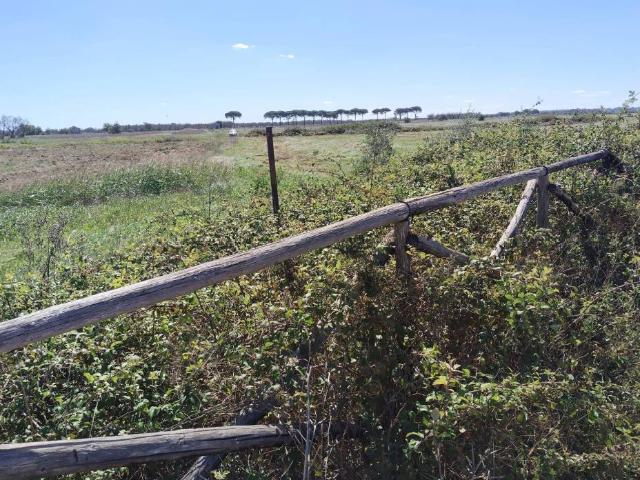 Terreno in vendita a Puglia, Lecce