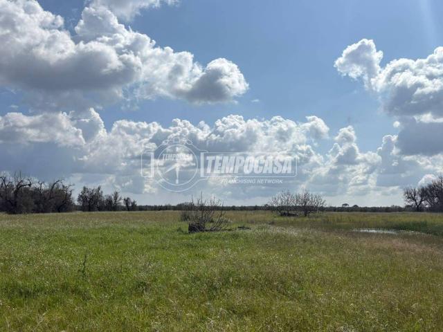 Terreno in vendita a Puglia, Lecce