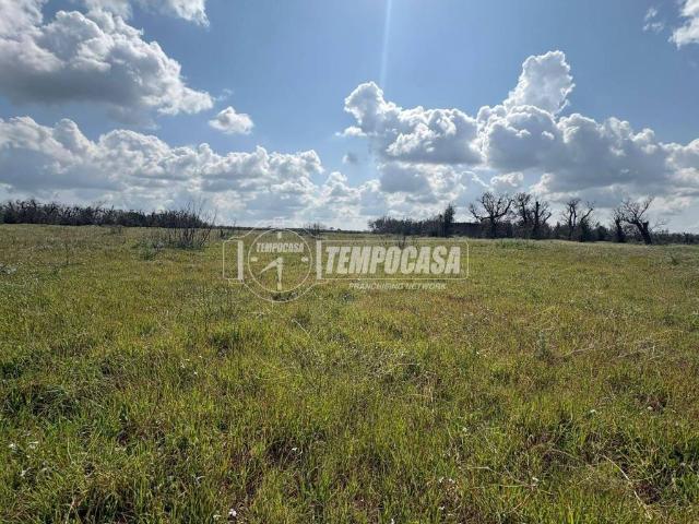 Terreno in vendita a Puglia, Lecce