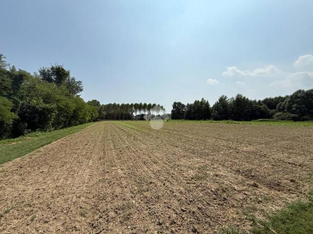 Terreno in vendita a Gallese, Scorzè
