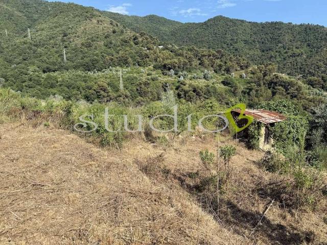 Terreno in vendita a Seborga, Liguria