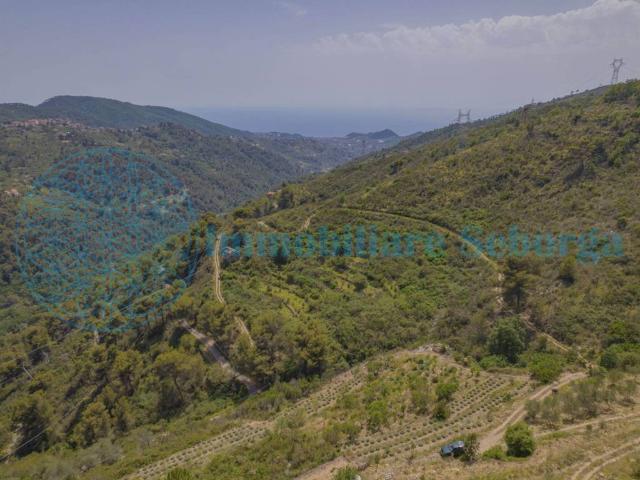 Terreno in vendita a Seborga, Liguria