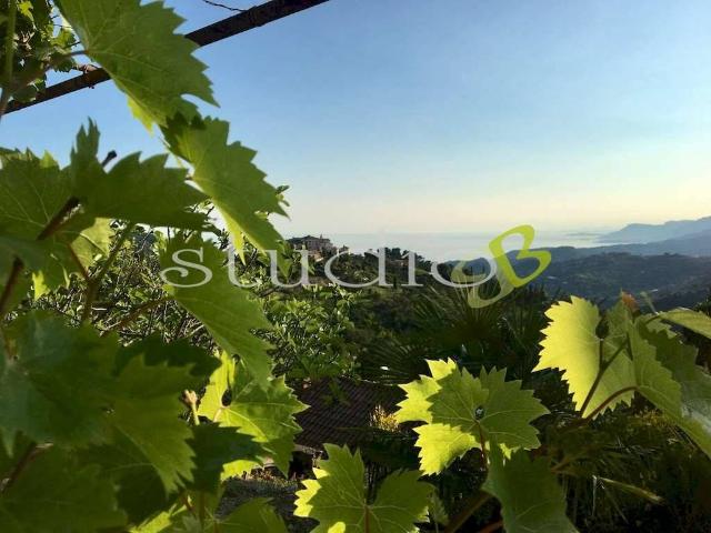 Terreno in vendita a Seborga, Liguria