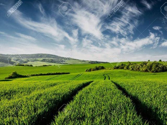 Terreno in vendita a Sedriano, Lombardia