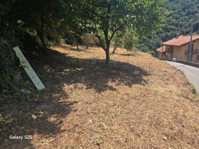 Terreno in vendita a Comunità Montana della Valle Brembana, Sedrina