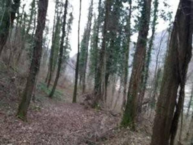 Terreno in vendita a Comunità Montana della Valle Brembana, Sedrina